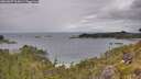 ./images/calvert/foggy-cove/20260607/foggy-cove20260607_104501M.jpg