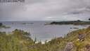 ./images/calvert/foggy-cove/20260607/foggy-cove20260607_105001M.jpg