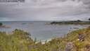 ./images/calvert/foggy-cove/20260607/foggy-cove20260607_105501M.jpg