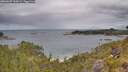 ./images/calvert/foggy-cove/20260607/foggy-cove20260607_110001M.jpg