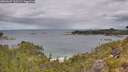 ./images/calvert/foggy-cove/20260607/foggy-cove20260607_110501M.jpg