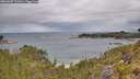 ./images/calvert/foggy-cove/20260607/foggy-cove20260607_111001M.jpg