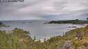 ./images/calvert/foggy-cove/20260607/foggy-cove20260607_111501M.jpg
