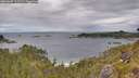 ./images/calvert/foggy-cove/20260607/foggy-cove20260607_112501M.jpg