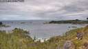 ./images/calvert/foggy-cove/20260607/foggy-cove20260607_113002M.jpg