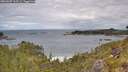 ./images/calvert/foggy-cove/20260607/foggy-cove20260607_113501M.jpg