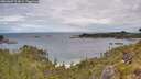 ./images/calvert/foggy-cove/20260607/foggy-cove20260607_114001M.jpg