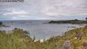 ./images/calvert/foggy-cove/20260607/foggy-cove20260607_114501M.jpg