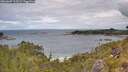 ./images/calvert/foggy-cove/20260607/foggy-cove20260607_115501M.jpg