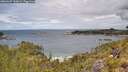 ./images/calvert/foggy-cove/20260607/foggy-cove20260607_120002M.jpg