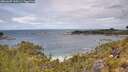 ./images/calvert/foggy-cove/20260607/foggy-cove20260607_120501M.jpg