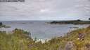 ./images/calvert/foggy-cove/20260607/foggy-cove20260607_123001M.jpg