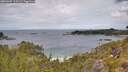 ./images/calvert/foggy-cove/20260607/foggy-cove20260607_123501M.jpg