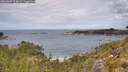 ./images/calvert/foggy-cove/20260607/foggy-cove20260607_124001M.jpg