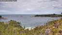 ./images/calvert/foggy-cove/20260607/foggy-cove20260607_124502M.jpg