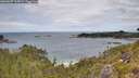 ./images/calvert/foggy-cove/20260607/foggy-cove20260607_125001M.jpg