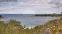 ./images/calvert/foggy-cove/20260607/foggy-cove20260607_131001M.jpg