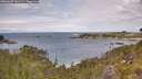 ./images/calvert/foggy-cove/20260607/foggy-cove20260607_131502M.jpg