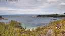 ./images/calvert/foggy-cove/20260607/foggy-cove20260607_132501M.jpg