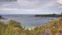 ./images/calvert/foggy-cove/20260607/foggy-cove20260607_133002M.jpg