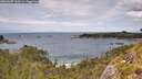 ./images/calvert/foggy-cove/20260607/foggy-cove20260607_133501M.jpg