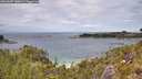 ./images/calvert/foggy-cove/20260607/foggy-cove20260607_140001M.jpg