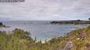 ./images/calvert/foggy-cove/20260607/foggy-cove20260607_141001M.jpg