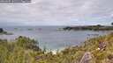 ./images/calvert/foggy-cove/20260607/foggy-cove20260607_141501M.jpg