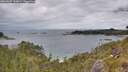 ./images/calvert/foggy-cove/20260607/foggy-cove20260607_144002M.jpg