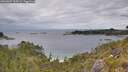 ./images/calvert/foggy-cove/20260607/foggy-cove20260607_144501M.jpg