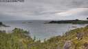 ./images/calvert/foggy-cove/20260607/foggy-cove20260607_151002M.jpg