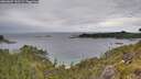 ./images/calvert/foggy-cove/20260607/foggy-cove20260607_151501M.jpg