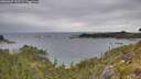 ./images/calvert/foggy-cove/20260607/foggy-cove20260607_152502M.jpg