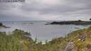 ./images/calvert/foggy-cove/20260607/foggy-cove20260607_153001M.jpg