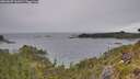 ./images/calvert/foggy-cove/20260607/foggy-cove20260607_161001M.jpg