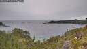 ./images/calvert/foggy-cove/20260607/foggy-cove20260607_161501M.jpg
