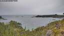 ./images/calvert/foggy-cove/20260607/foggy-cove20260607_162501M.jpg