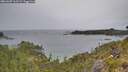 ./images/calvert/foggy-cove/20260607/foggy-cove20260607_163501M.jpg