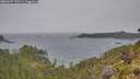 ./images/calvert/foggy-cove/20260607/foggy-cove20260607_170501M.jpg