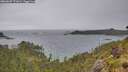 ./images/calvert/foggy-cove/20260607/foggy-cove20260607_172001M.jpg