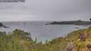 ./images/calvert/foggy-cove/20260607/foggy-cove20260607_174001M.jpg