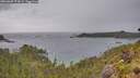 ./images/calvert/foggy-cove/20260607/foggy-cove20260607_174502M.jpg