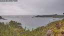 ./images/calvert/foggy-cove/20260607/foggy-cove20260607_175501M.jpg