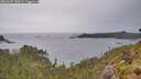 ./images/calvert/foggy-cove/20260607/foggy-cove20260607_180001M.jpg