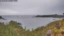 ./images/calvert/foggy-cove/20260607/foggy-cove20260607_181001M.jpg