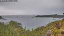 ./images/calvert/foggy-cove/20260607/foggy-cove20260607_181501M.jpg