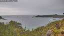 ./images/calvert/foggy-cove/20260607/foggy-cove20260607_182001M.jpg