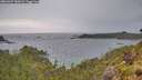 ./images/calvert/foggy-cove/20260607/foggy-cove20260607_183002M.jpg