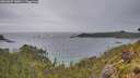 ./images/calvert/foggy-cove/20260607/foggy-cove20260607_185001M.jpg