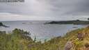 ./images/calvert/foggy-cove/20260607/foggy-cove20260607_191001M.jpg
